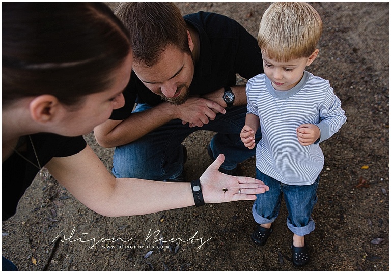 family examines bug