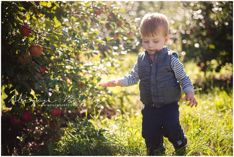 boy in vest walks by apple tree